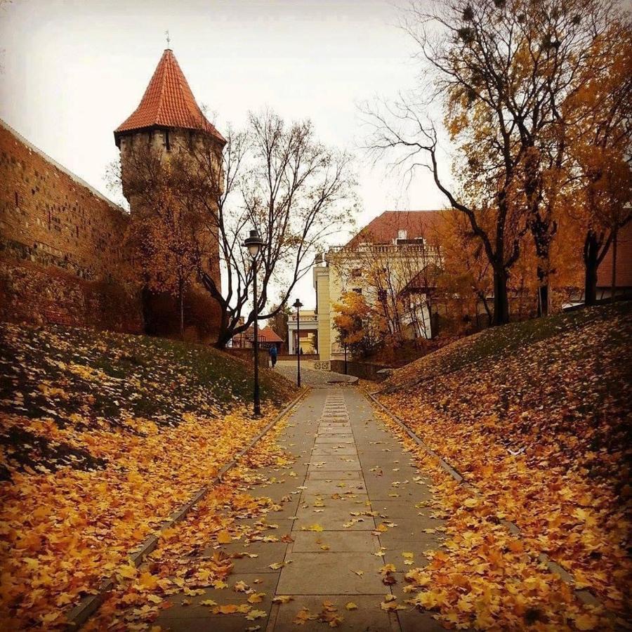 Cozy Residence Hermannstadt Exterior foto